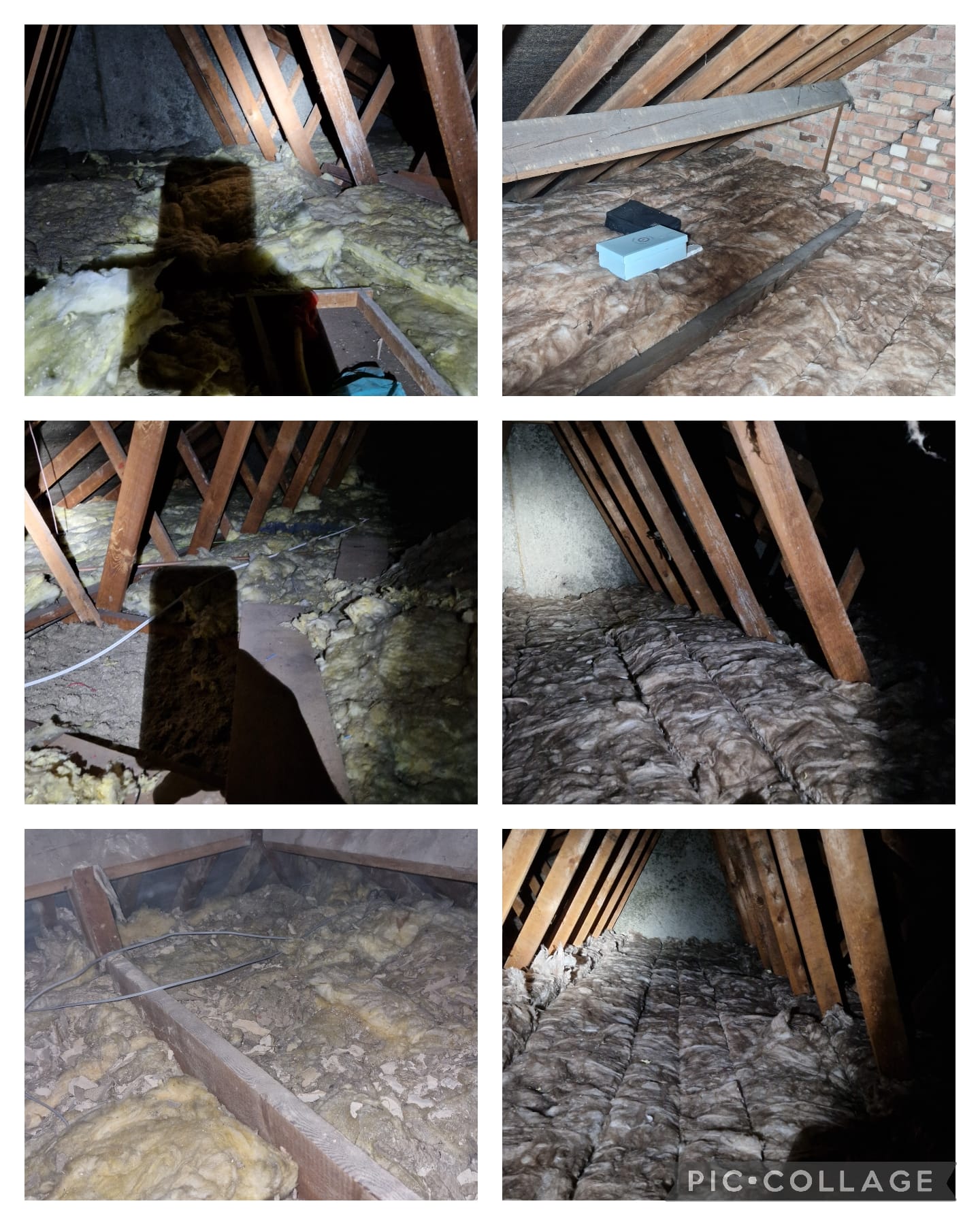 490462519_1233050055494344_867325540233961595_n